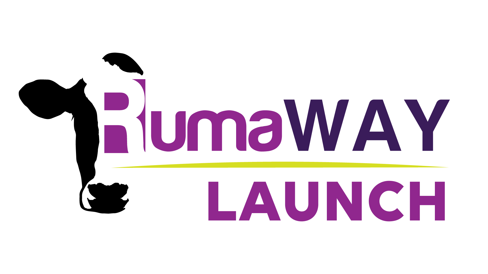 RumaWAY Launch, dairy, nutrition, anionic liquid feed supplement, milk fever